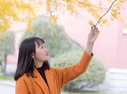 菲律宾大学相当于国内什么大学